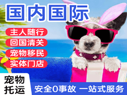 正定航空空运国际宠物托运 【国